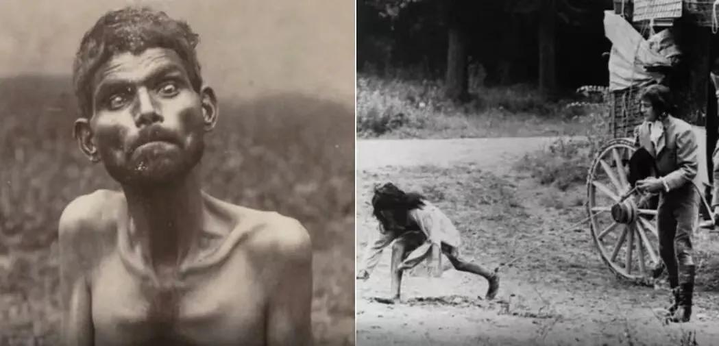 家有二娃如何带从生物进化论看人的成长