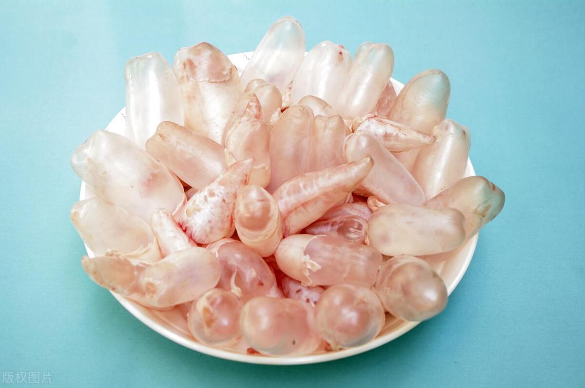 花胶到底是不是骗局,花胶是不是骗局