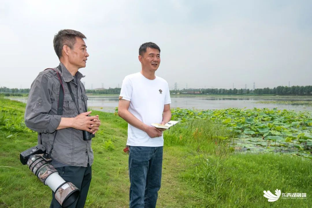 有被惊艳到！“颜值顶流”齐聚东西湖！