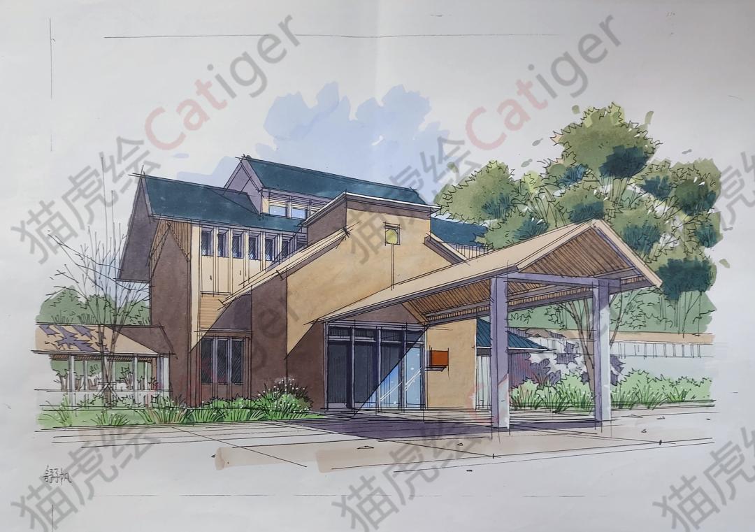 猫虎画,猫虎绘画