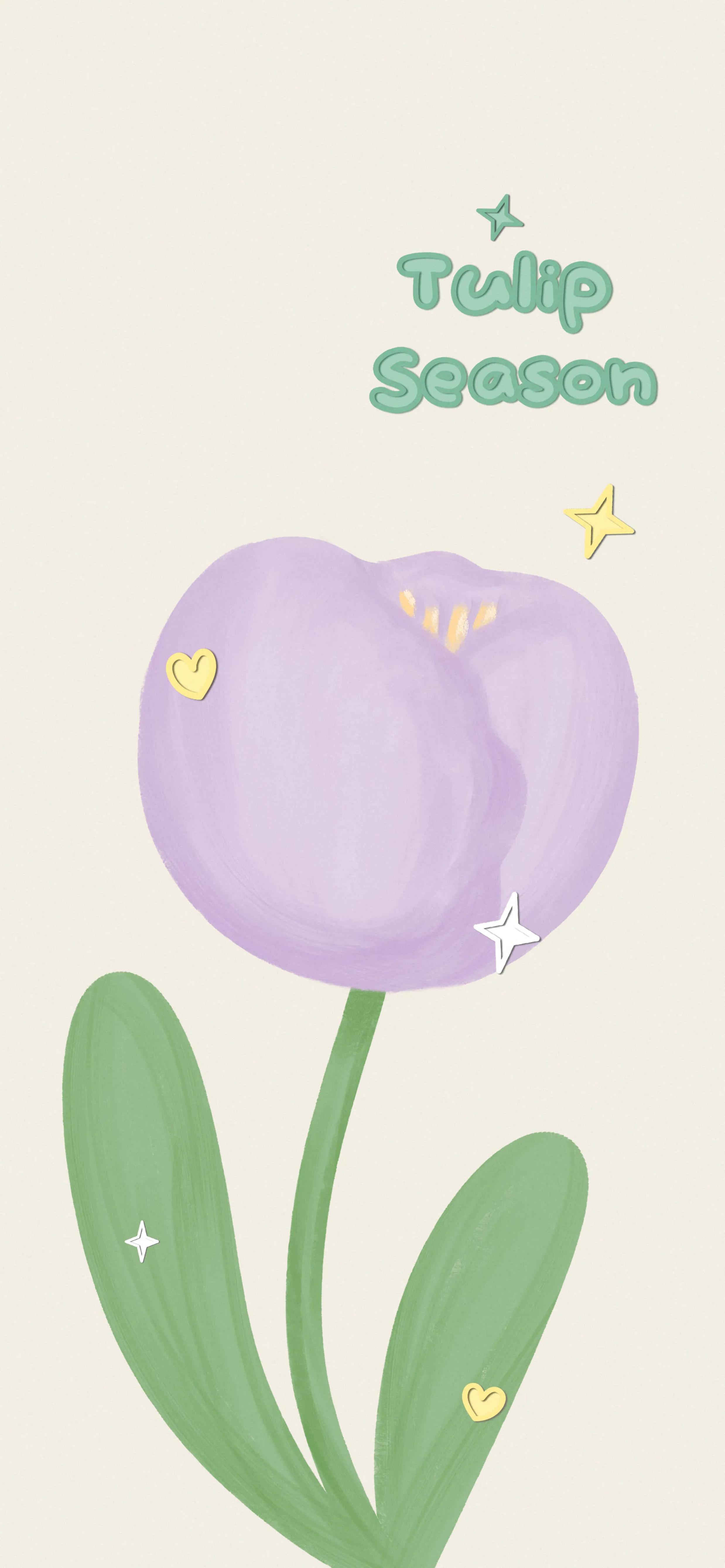 绿色手机壁纸高清卡通可爱,可爱卡通小企鹅文字壁纸