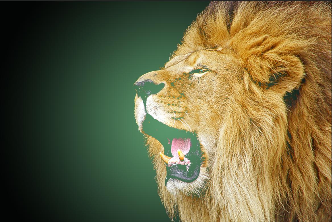 photoshop怎么做同样的圆修饰,photoshop教程应用填充和调整图层