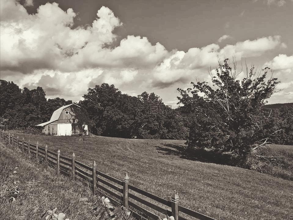 萨拉约瑟法布黑尔,萨拉约瑟法布尔黑尔