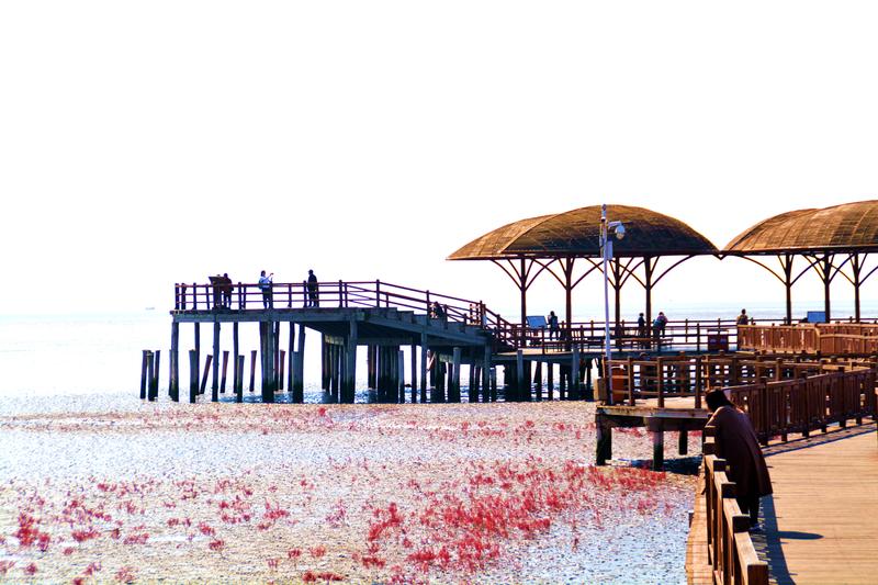 辽宁盘锦在哪个地方,去盘锦旅游哪里好