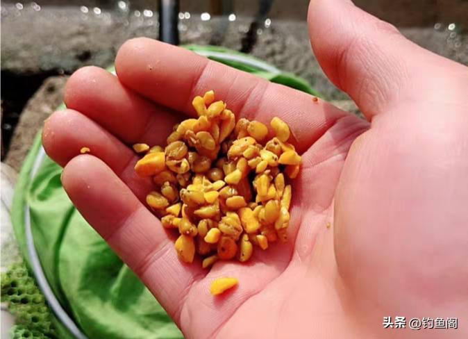 渔具店老板用什么饵钓鱼,钓鱼技巧渔具店