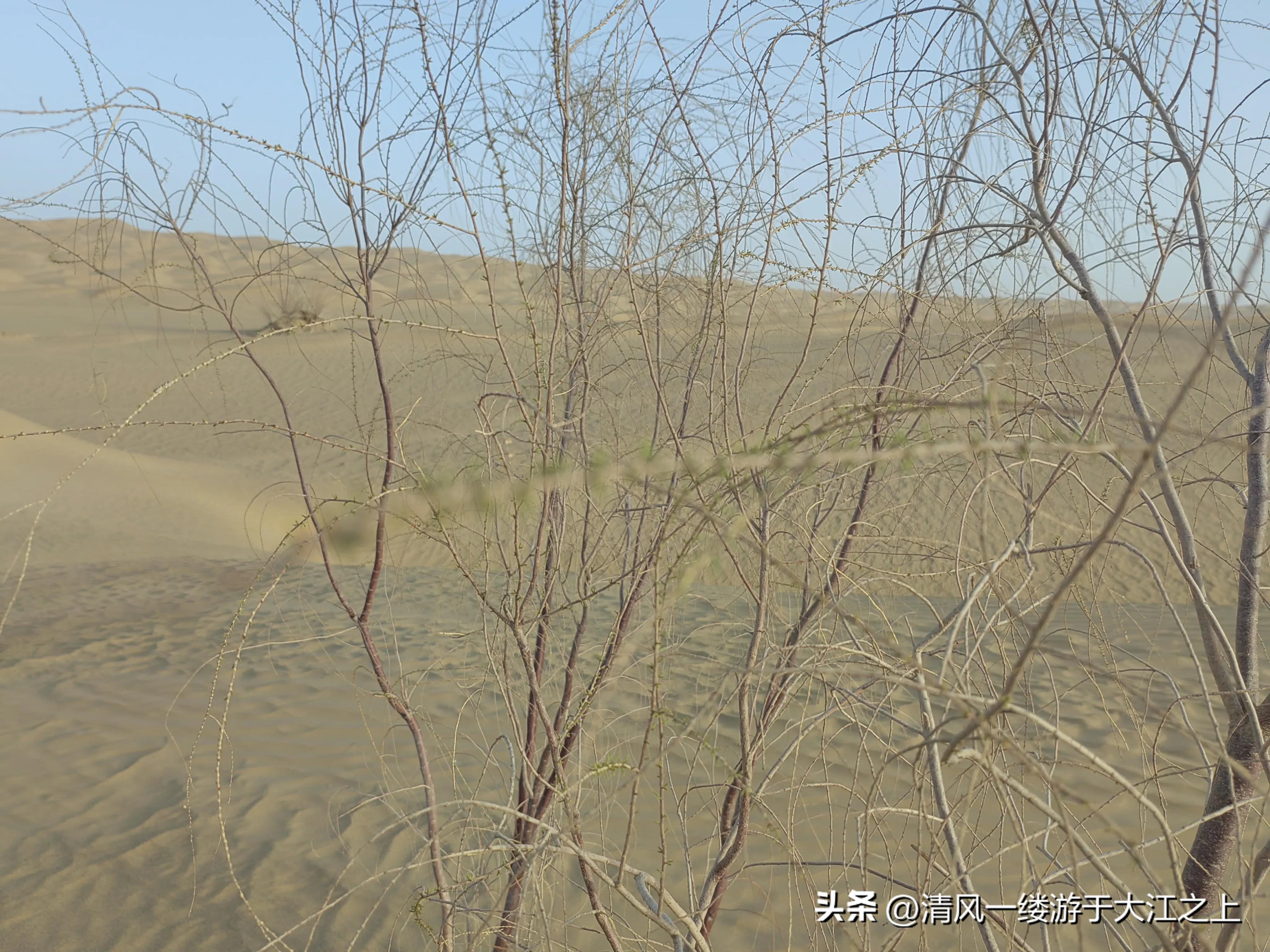 万马股份发展情况,万马股份后市怎么看