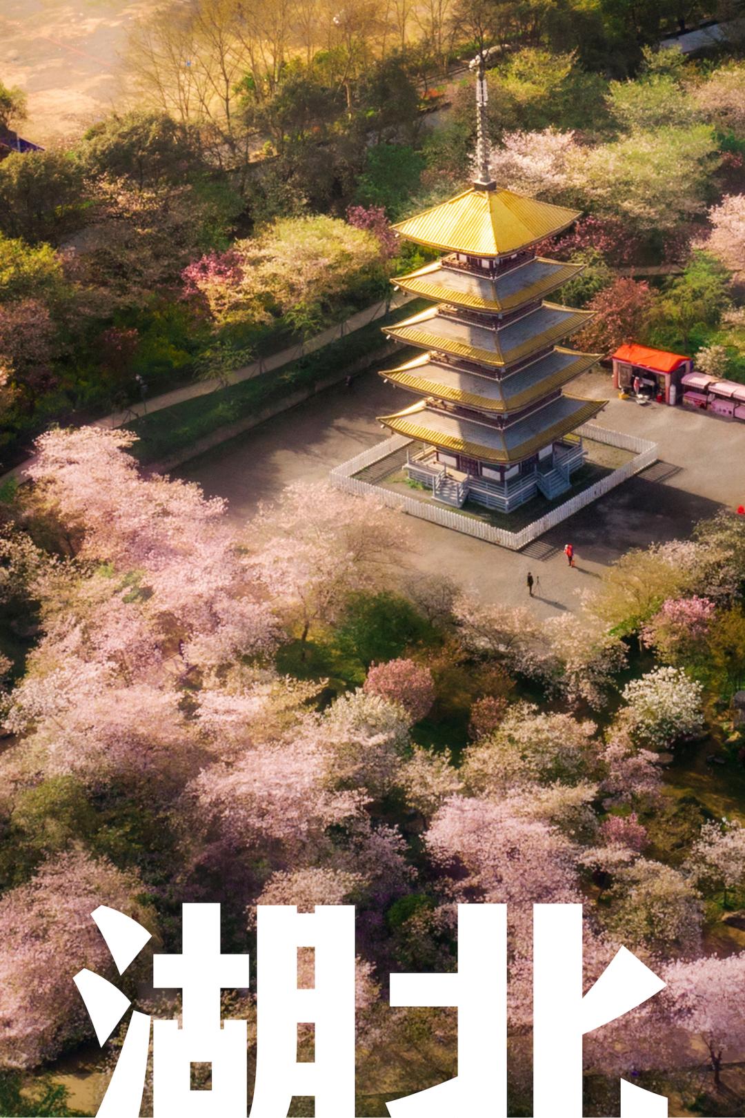 五一乌鲁木齐人能出去嘛 (五一过了是不是就成淡季了)