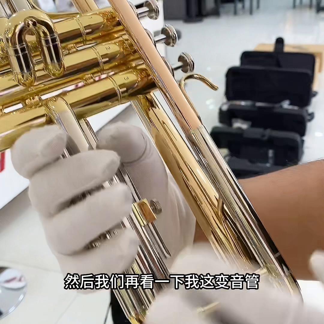 津宝专业演奏,天津津宝牌高级小号多少钱一把