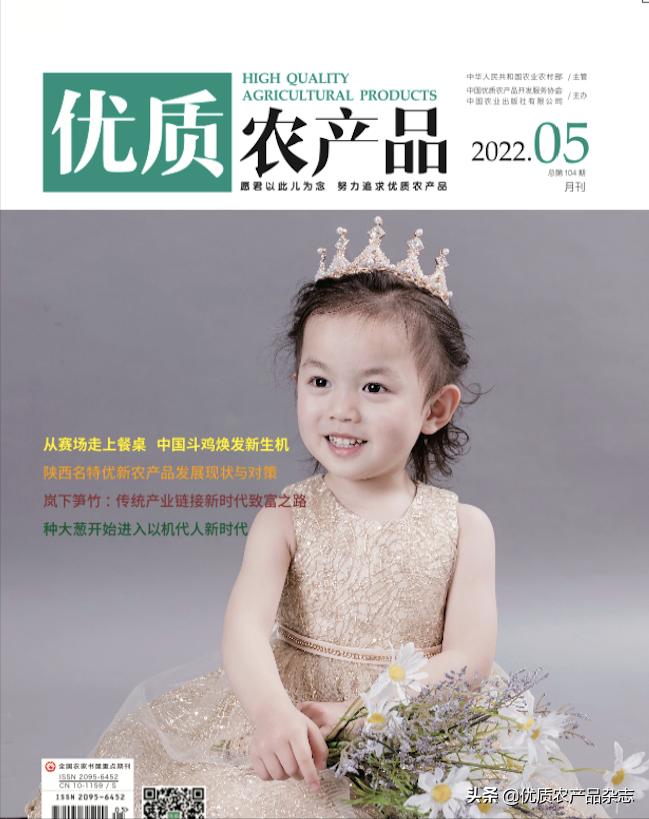 土味广告文案,土味炒鸡广告文案