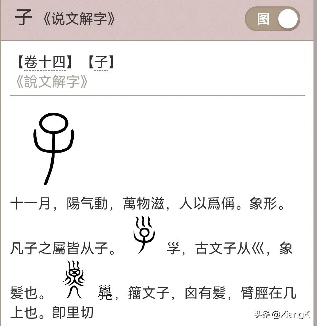 “了子孑孓孒”傻傻分不清？赶紧学起来！