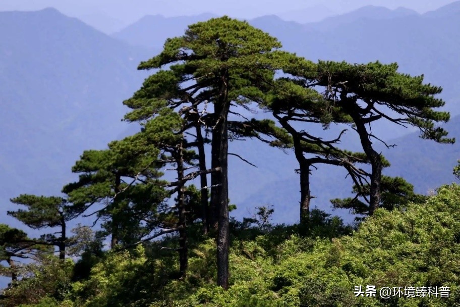 盘点中国拥有的14项世界自然遗产，是否有你的家乡