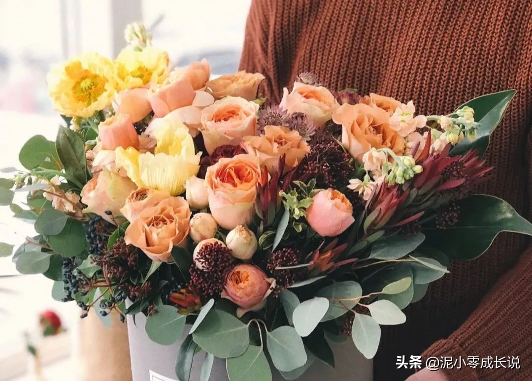 新手入门快速学习写作,新手入门级写作教程