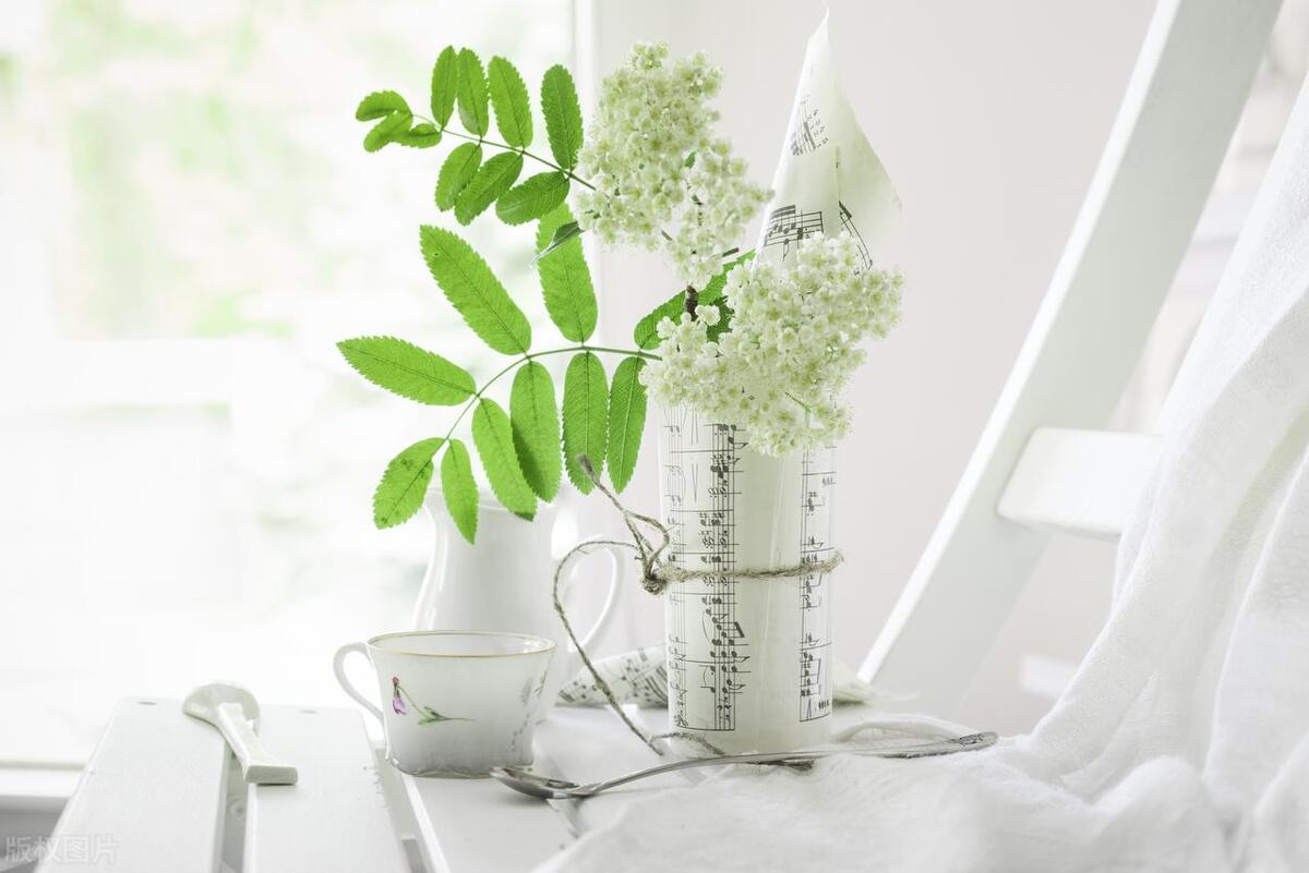 小说写作小细节有哪些类型,小说的故事与情节处理技巧