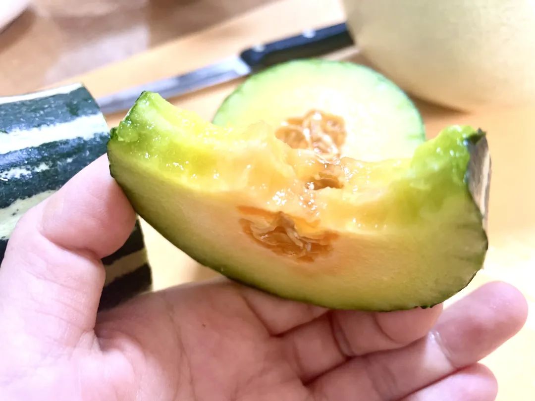 武汉美女：夏天要吃这些好瓜，藤蔓上的水果冰淇淋