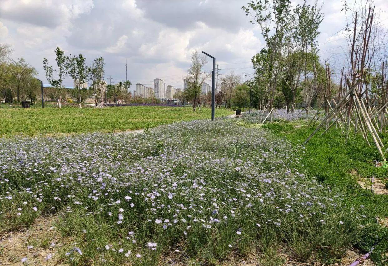 乌鲁木齐2020年十大公园,乌鲁木齐公园数量