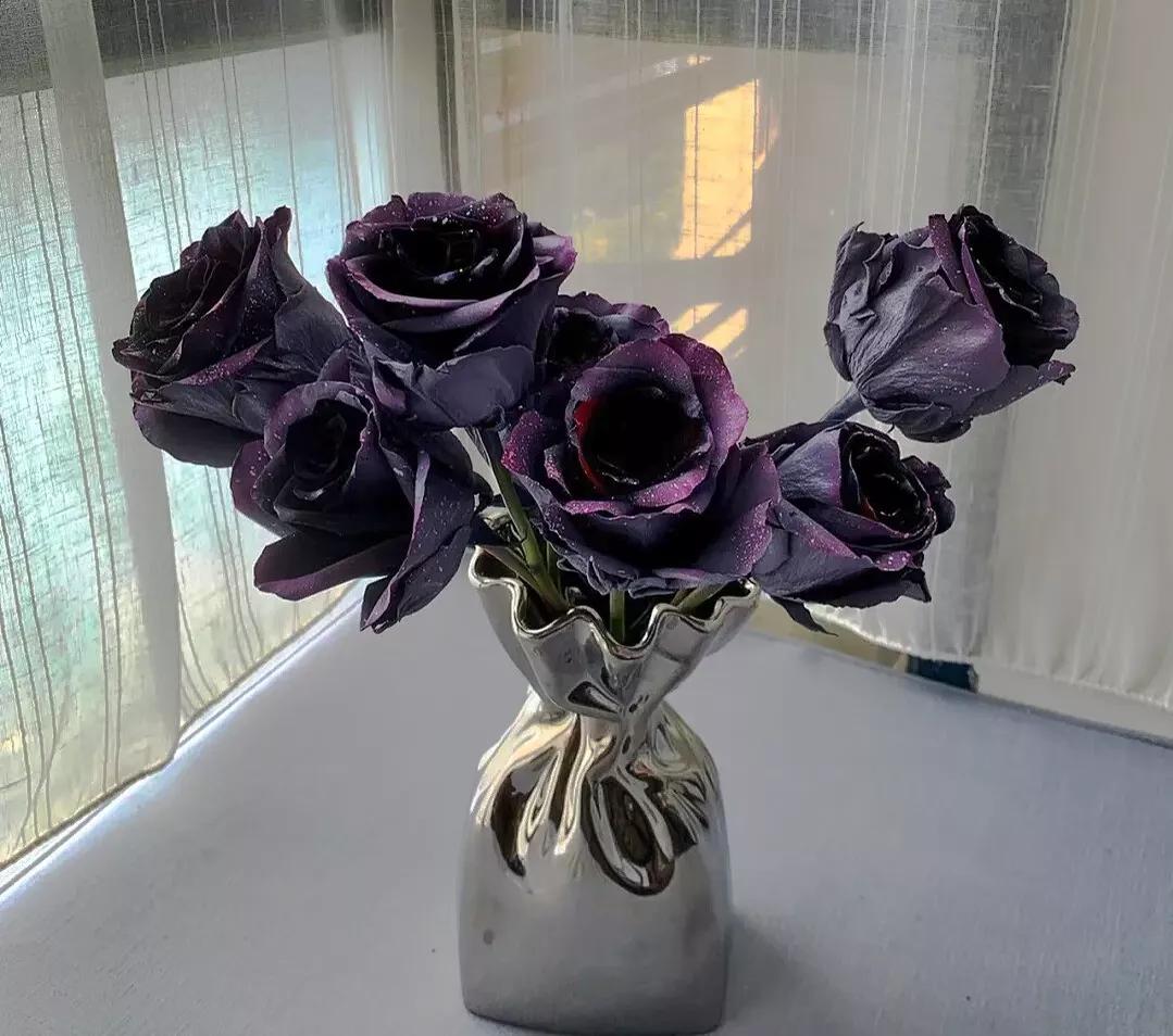 红色玫瑰花花语和寓意,满天星和玫瑰花的花语