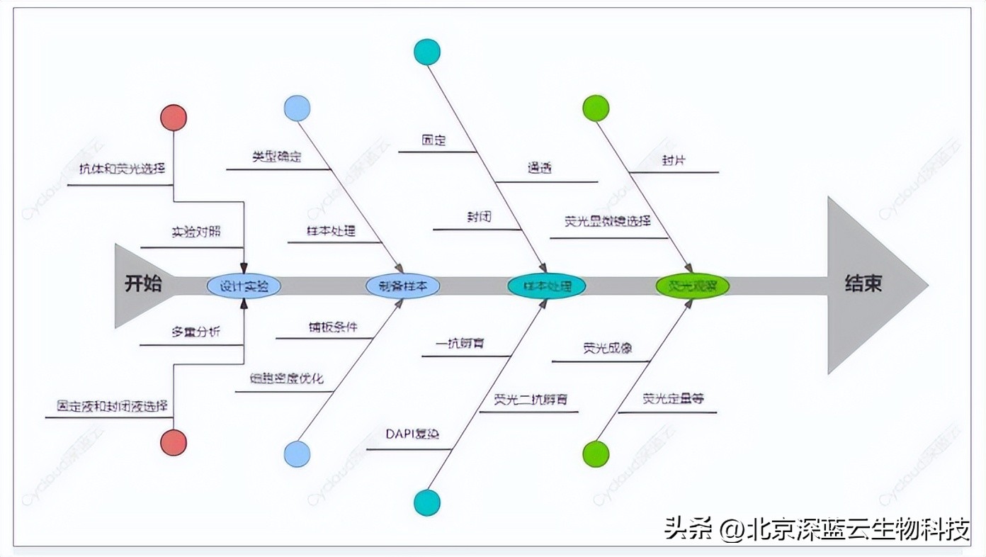 免疫荧光试验和免疫沉淀试验区别,免疫荧光显微技术是什么