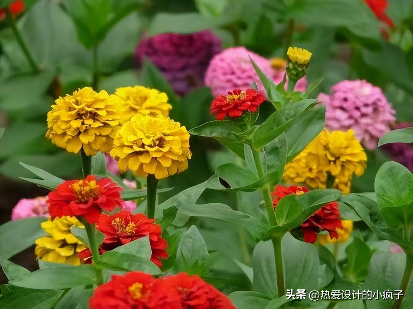 心情语录人生感悟做人做事,值得摘抄的热爱生活的温柔句子