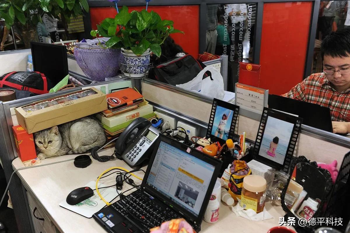 阿里员工被曝收入,揭秘阿里员工的真实收入和工作