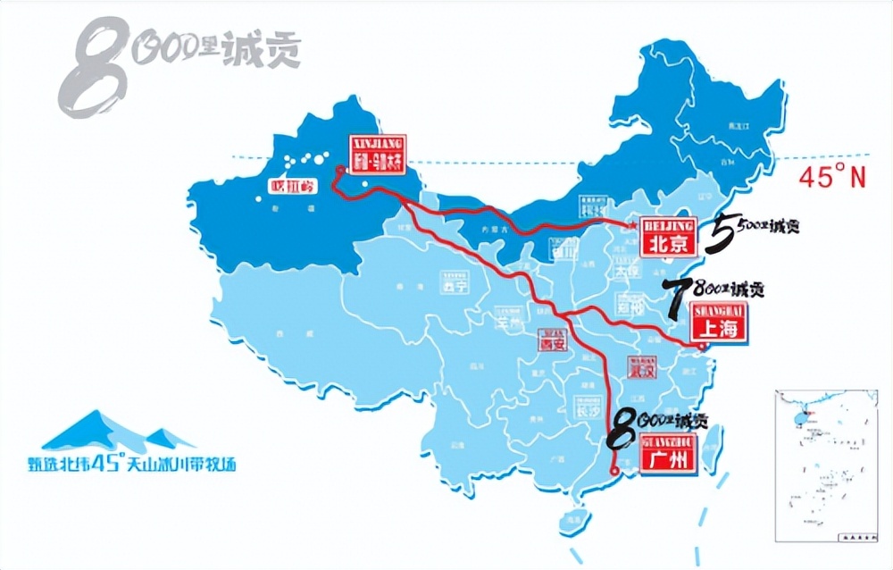 *疆新**不止云和月，还有年轻人爱的天润好奶