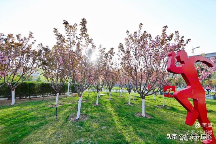 清晨的公园静态美和动态美,运城体育公园夜间灯光