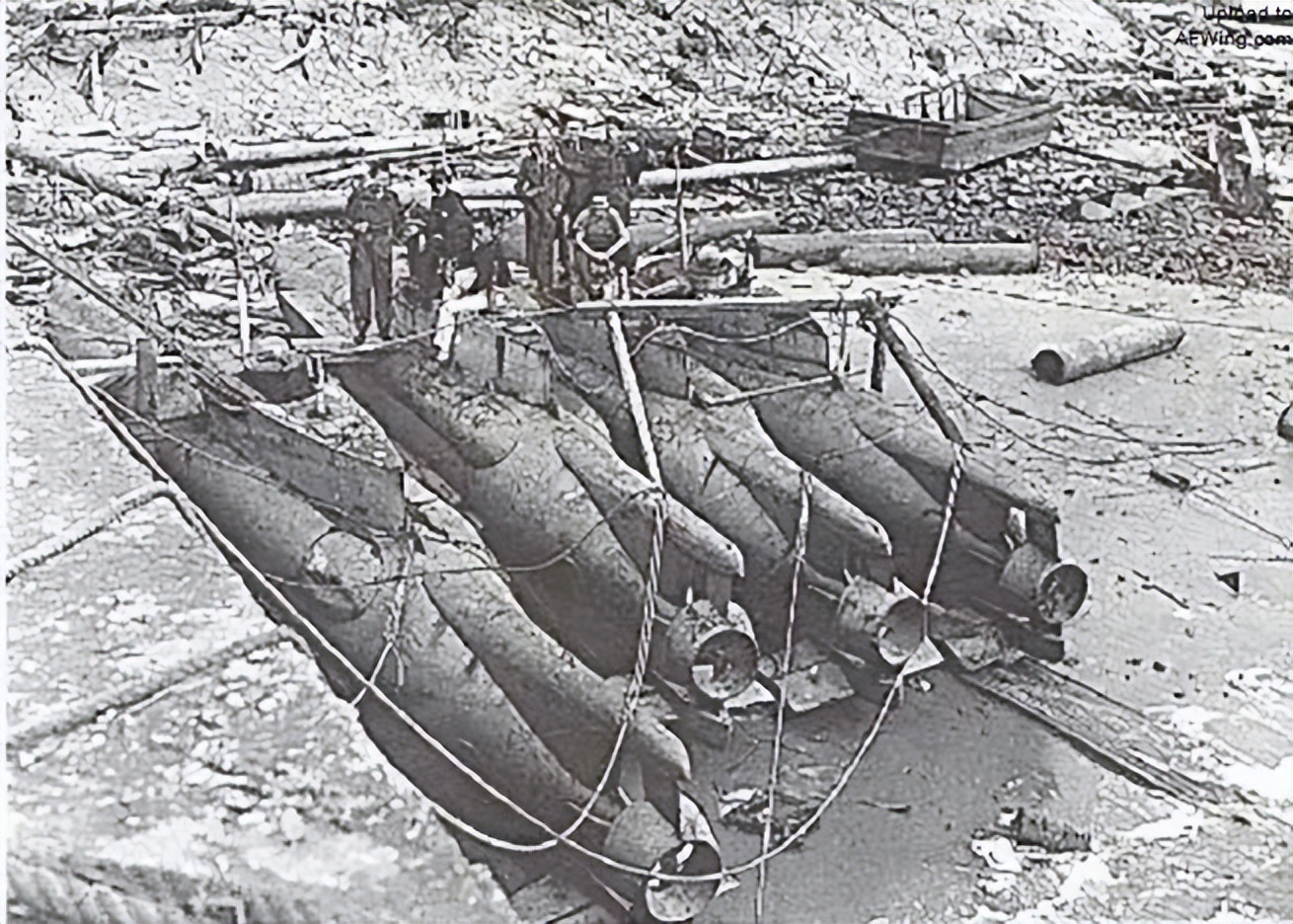 德国海军王牌潜艇,海豹的演化史