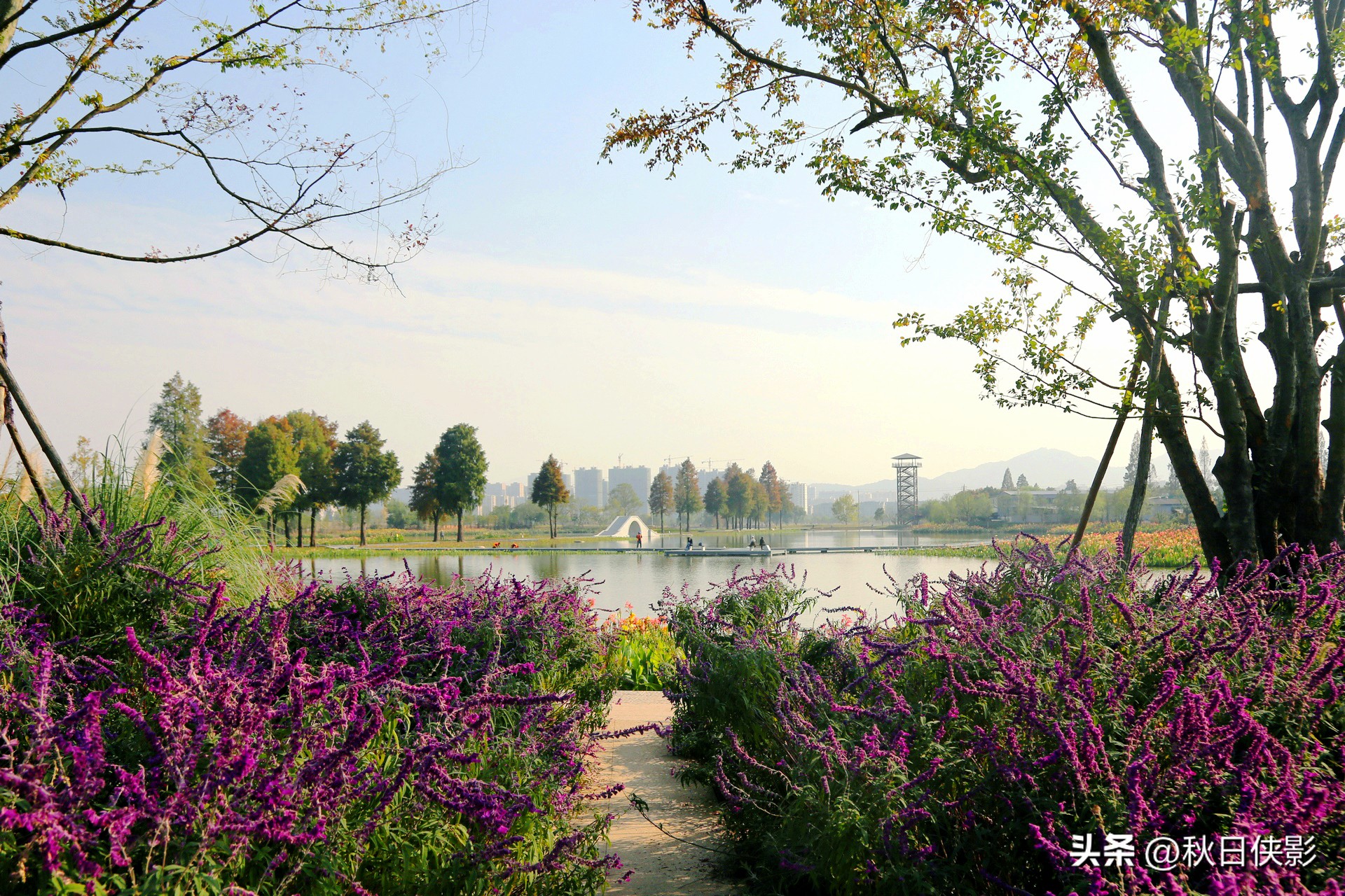 杭州周边秋日赏景好去处,杭州周边当季旅游景点推荐