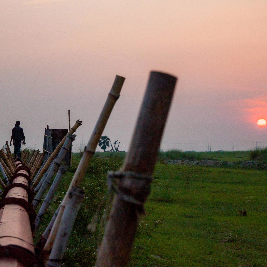 印度关门打狗,印度电影关门打狗完整版