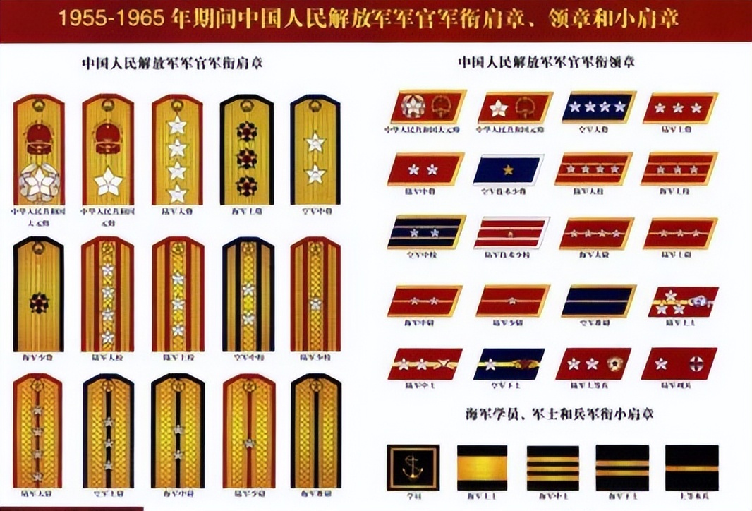 沈伯素：小马拉大车