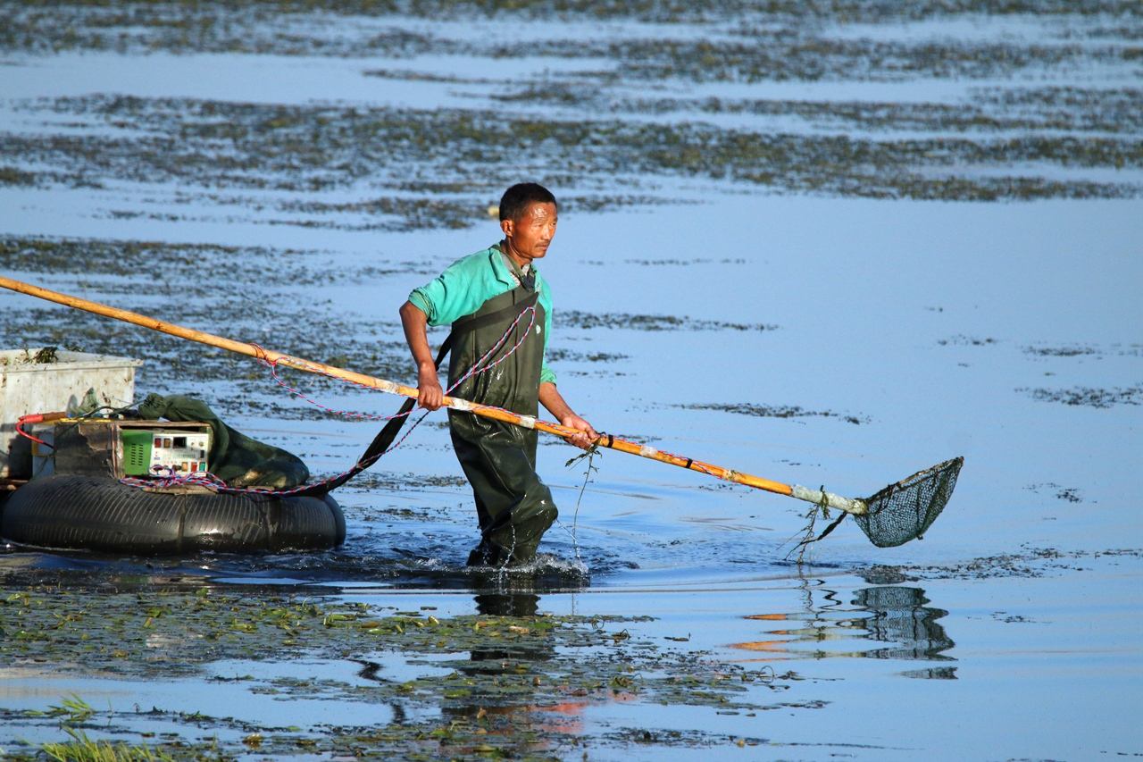 对钓鱼人的惩罚,对电鱼的处罚办法