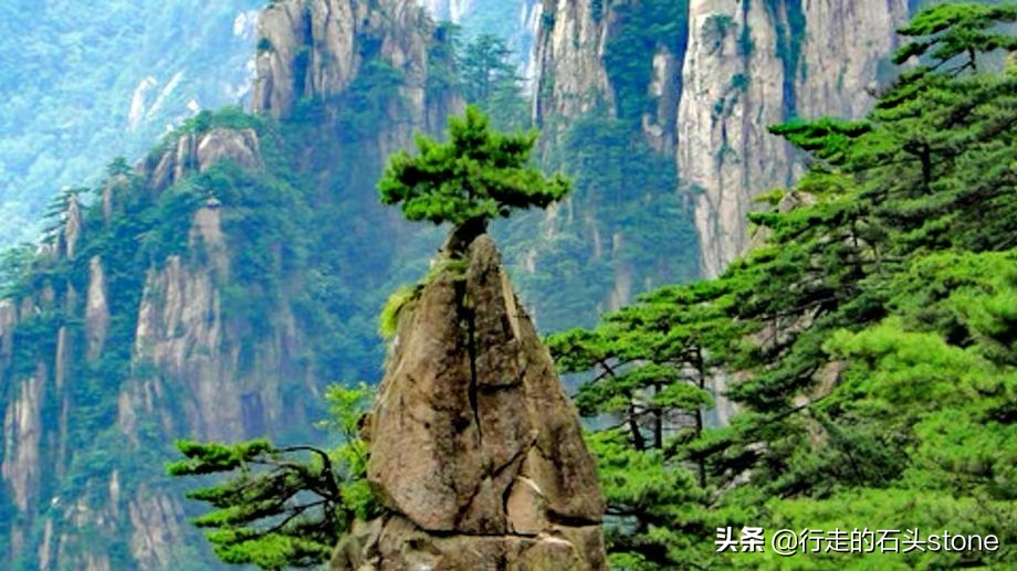 诗词典故：梦笔生花——即使不能生“花”，但万万不能放“毒”