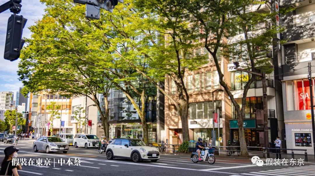 365张照片回顾,365张相片