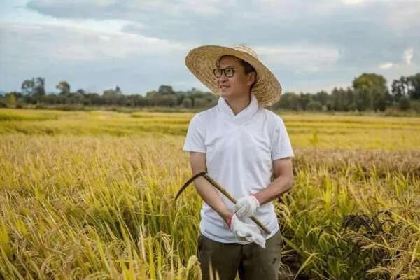 20位离婚至今没结婚的男星,至今未婚的十位大龄男星