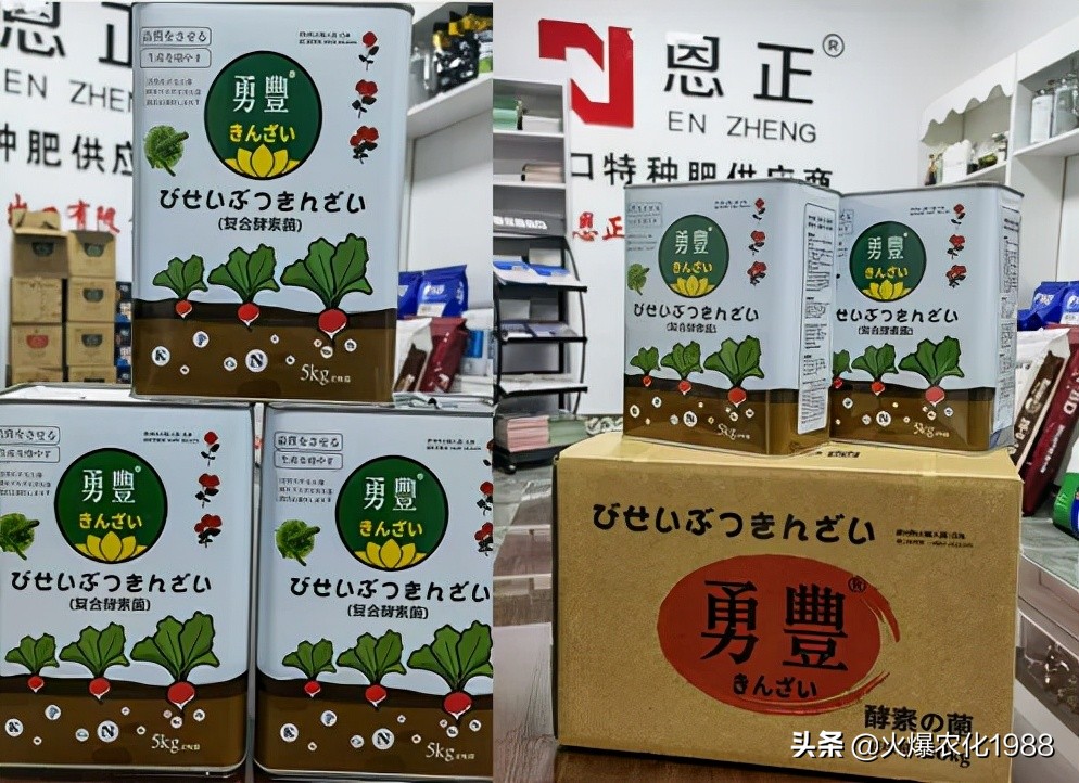 意大利、荷兰、比利时原装进口，交500顶2000；支持货到付款