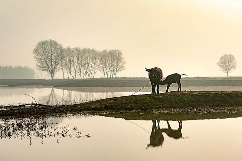 入展作品图片大全,瓶窑风景图片欣赏