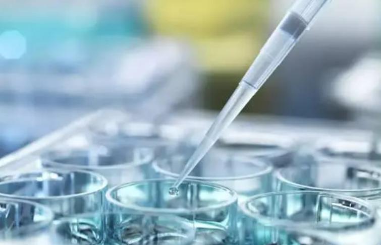 人兽真能杂交？日本批准“人兽杂交嵌合体试验”，福音还是灾难？