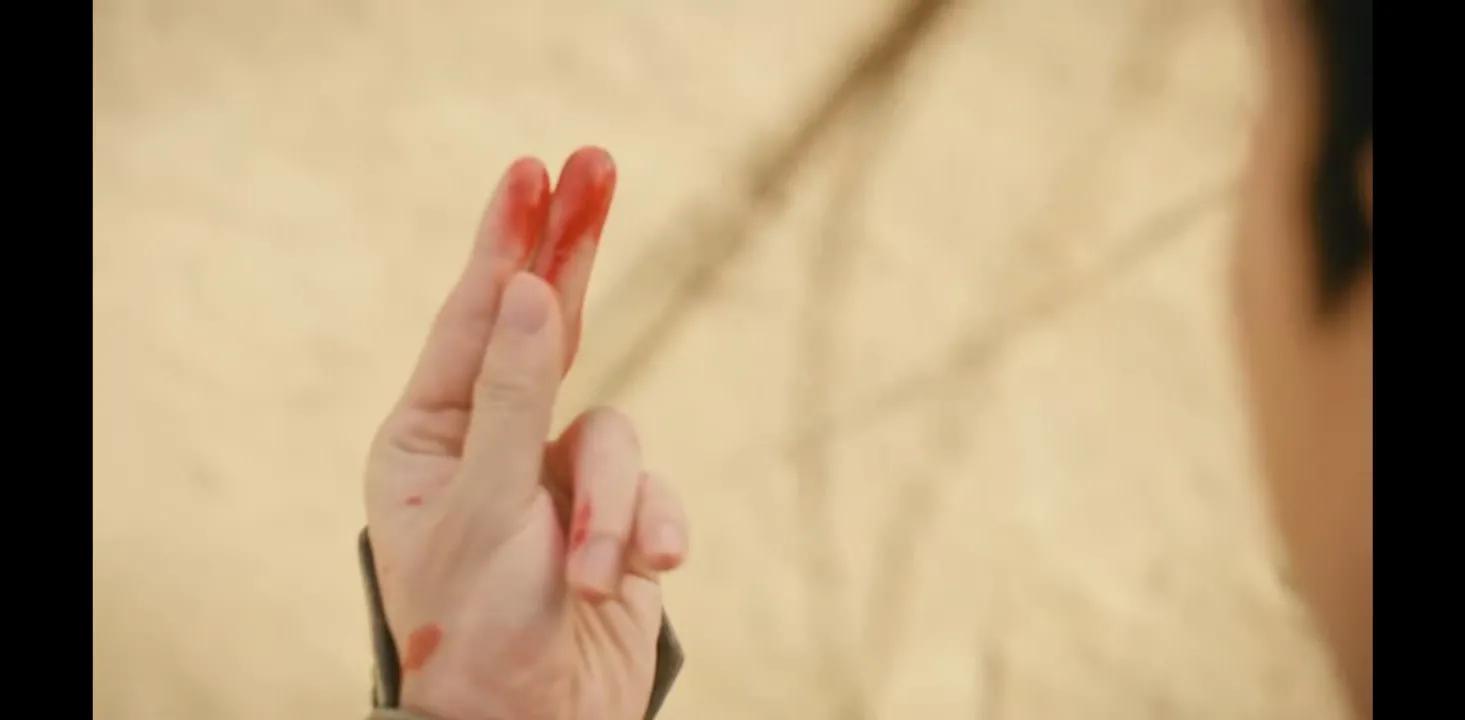 沉香如屑颜淡剜心受雷劫,沉香如屑应渊颜淡剜心