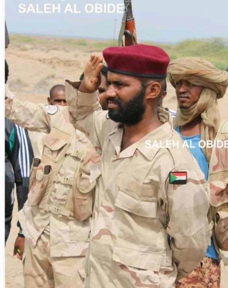 花“7亿”买火炮零件，阿联酋“入坑”印度，不怕“炸膛”吗？