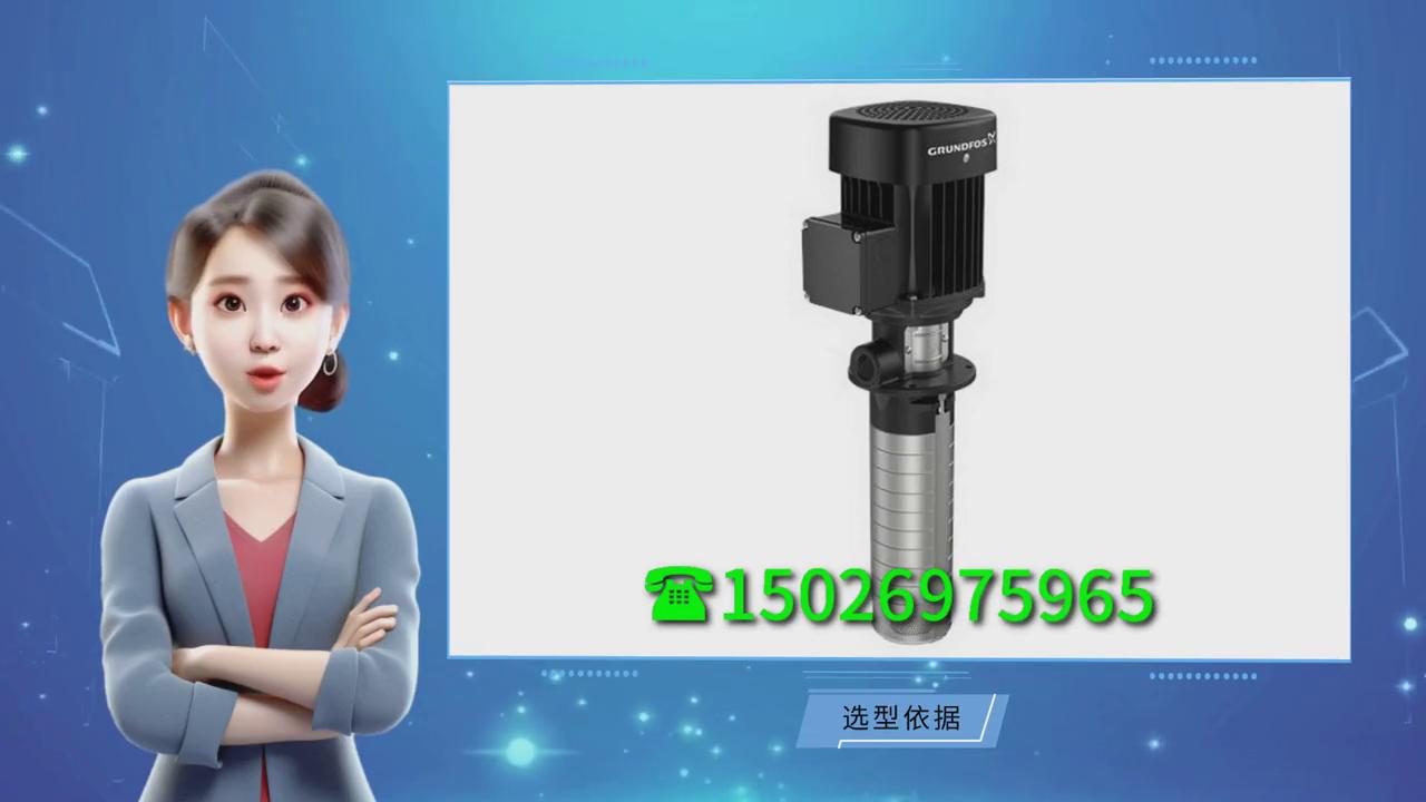 格兰富grundfos进口水泵供应商,格兰富grundfos潜污泵