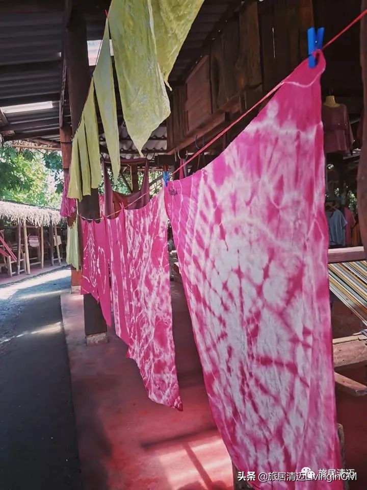 泰国清迈农场美食,清迈美食攻略必吃水果