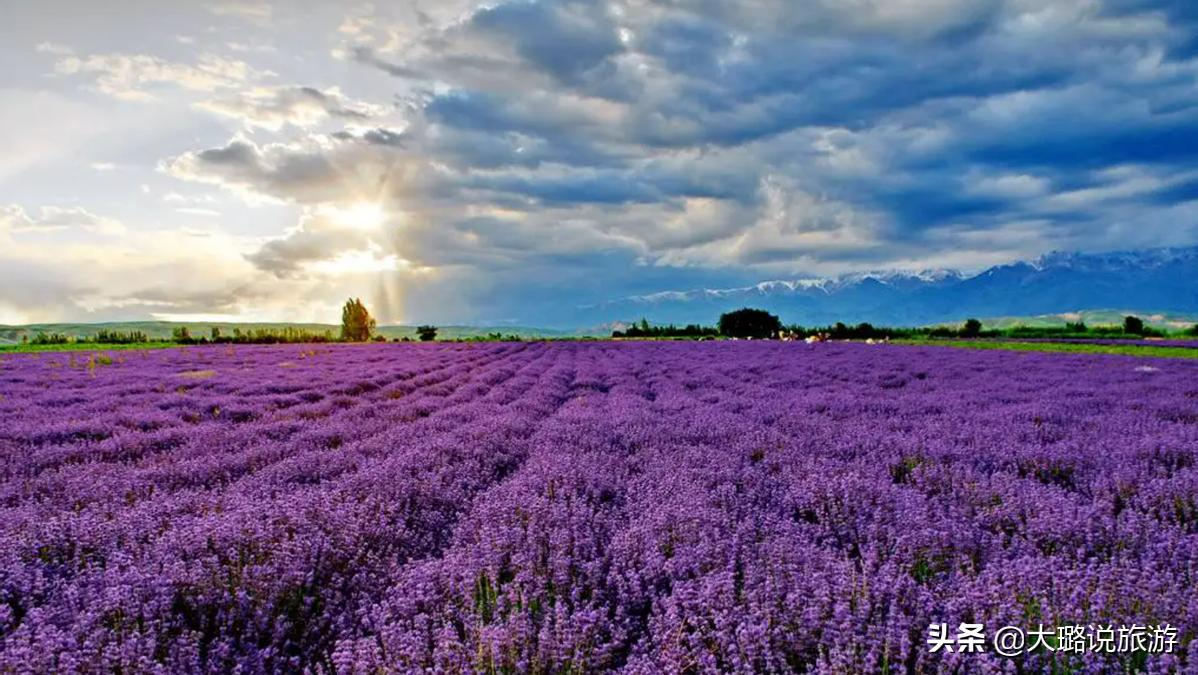 疆内值得去的地方,从新疆去哪旅游最好