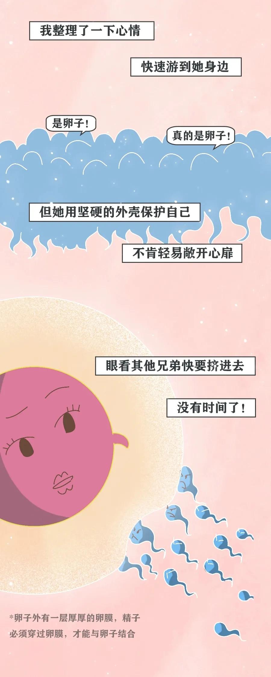 精子进入人体12小时变化,精子着床后身体变化
