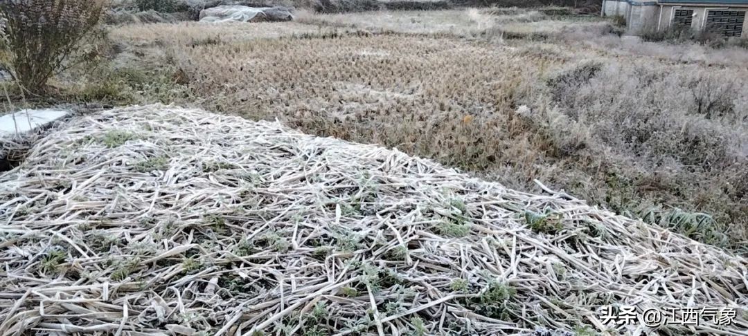 江西昼夜温差,江西各地区气候差异表图