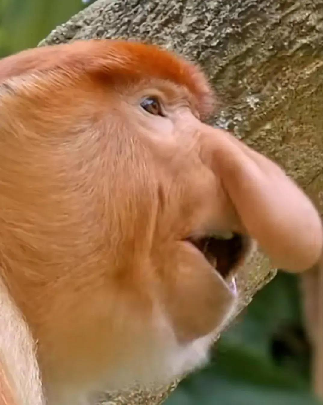 笑死了，女朋友说她昨晚游泳去了，这晒痕就是最好的证明