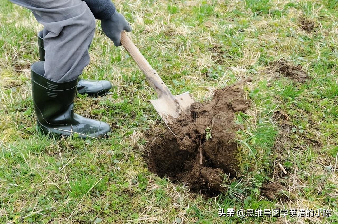 中考英语词汇2024必背,中考英语情景运用高频单词