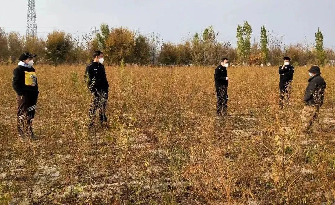 羊啃麦苗赔偿办法,羊啃庄稼怎么处理