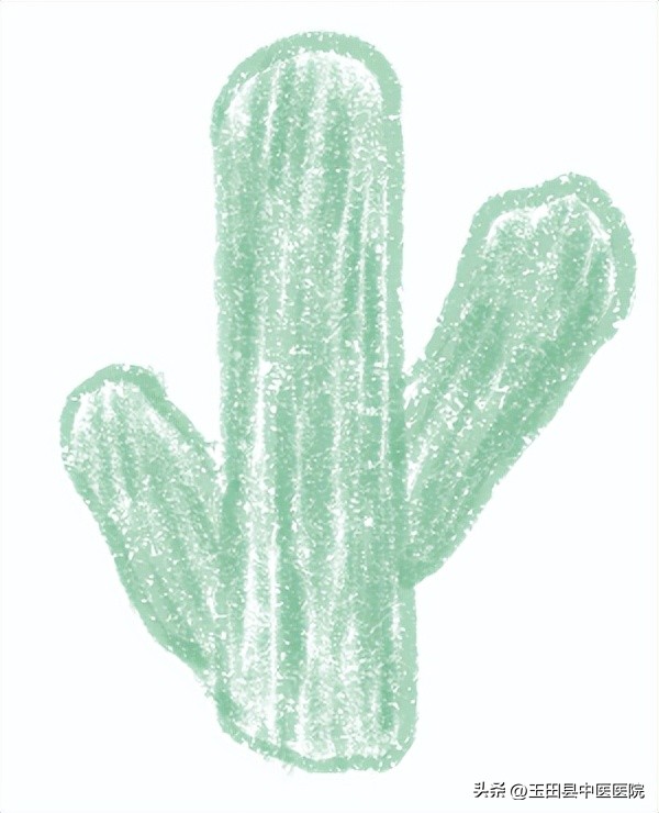 产科护理特色暖心服务,产科暖心服务项目