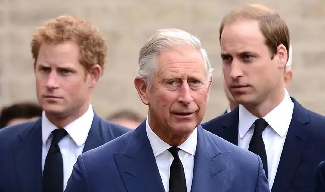 王室媳妇和梅根,哈里梅根和美国王室