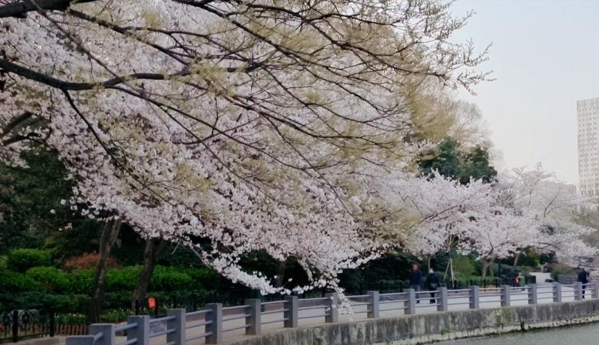 郑州七月份适合带孩子去哪旅游,郑州周边五一适合去哪旅游带孩子