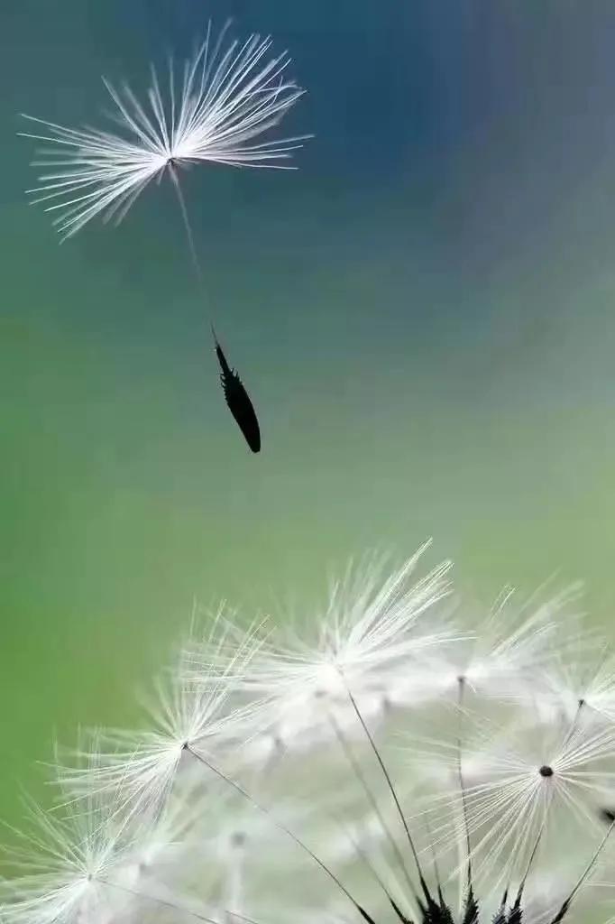 拍打实例｜十年抑郁症拍空明后的变化